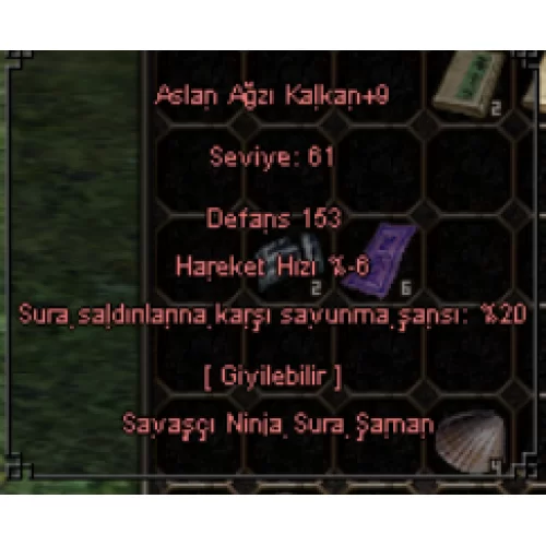  +9 ASLANAĞZI KALKAN